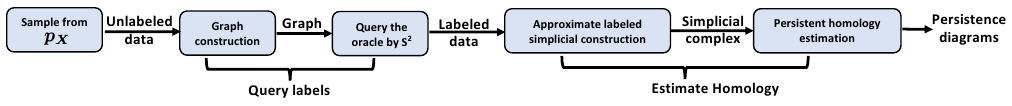 Active-learning pipeline from graph construction and queried labels to simplicial complexes and persistence diagrams.